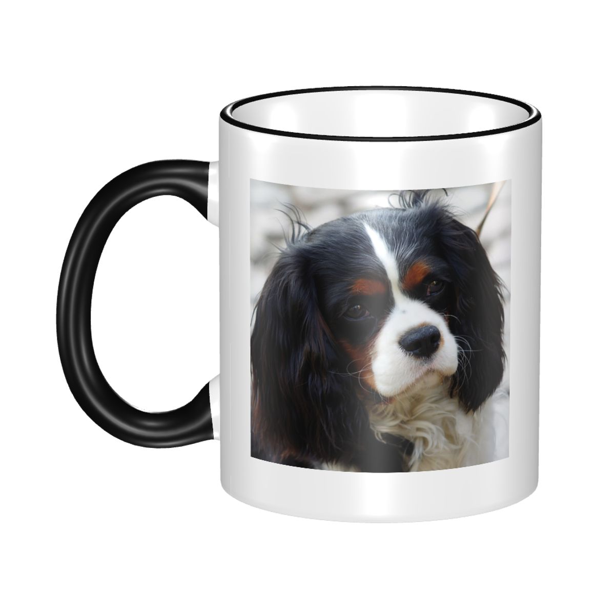 Tri Color Cavalier King Charle - đánh giá và giá Coffee Tea Photos