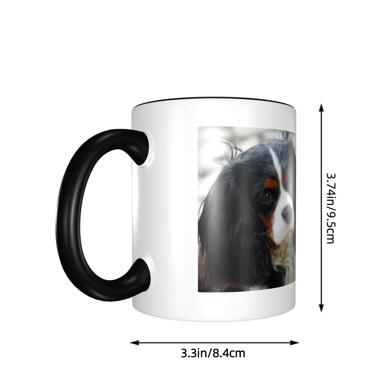 Tri Color Cavalier King Charle - đánh giá và giá Coffee Tea Photos