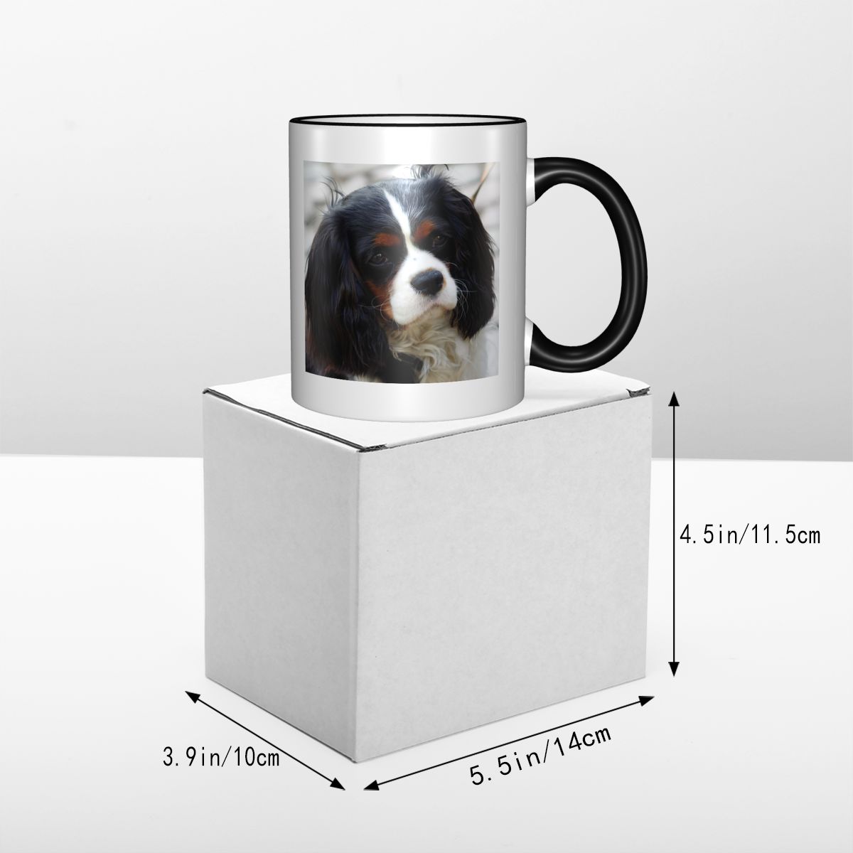 Tri Color Cavalier King Charle - đánh giá và giá Coffee Tea Photos